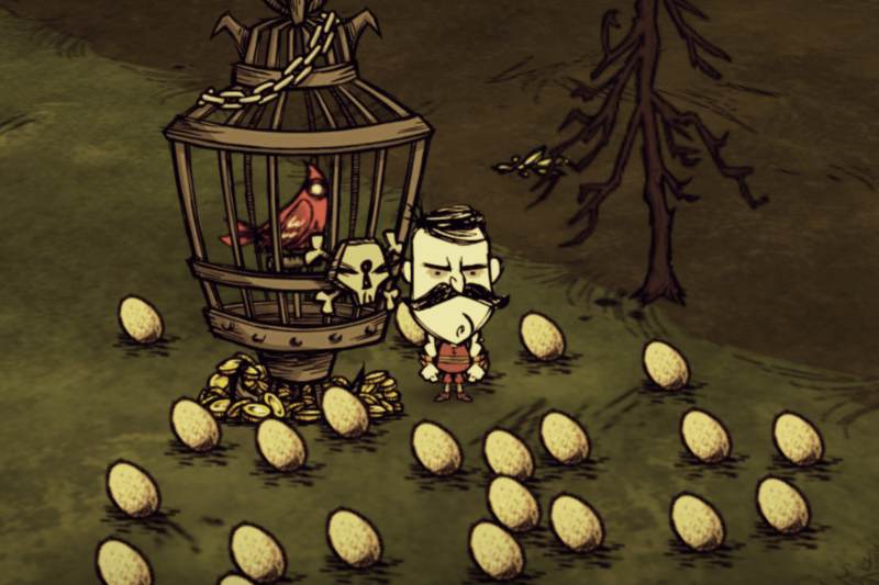 Don T Starve Birdcage Best Food Source Ds Dst Guide Basically Average