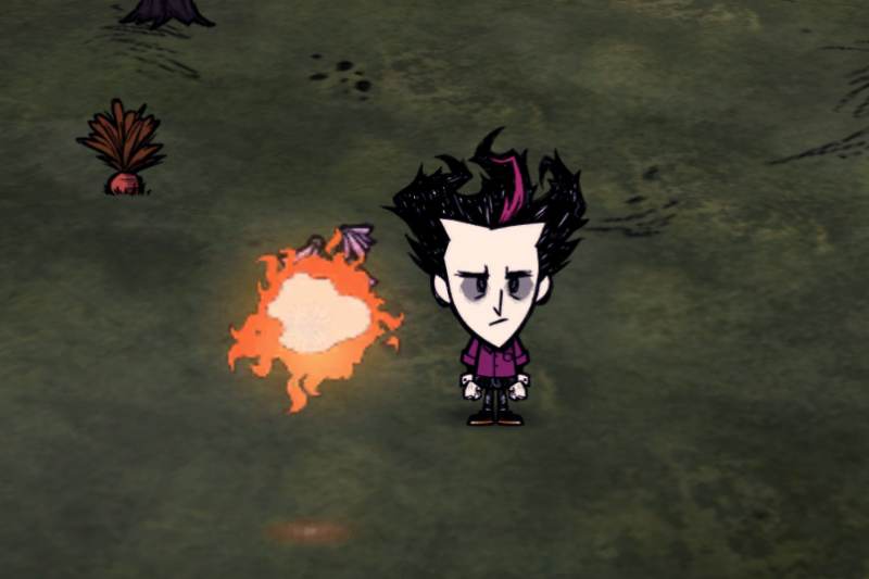 All Light Sources Best Light Mods Don T Starve Amp Dst